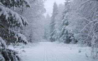 Зимний режим работы грузовика без лишнего риска