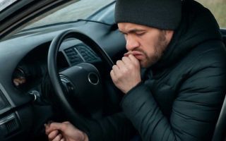 Почему автомобиль плохо заводится после долгой ночной стоянки