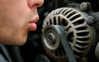 Свист подшипника генератора при запуске мотора и его причины