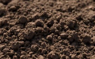 Вывоз и утилизация грунта с выдачей справки без сбоев по срокам