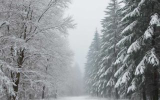 Подготовка машины к зиме без лишних затрат и опасных ошибок