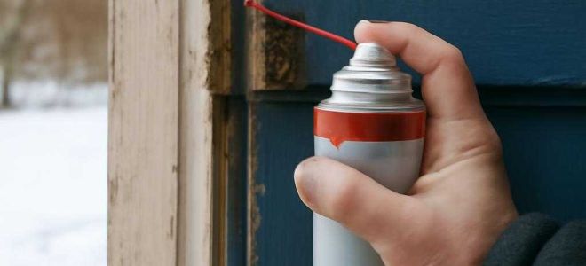Причины скрипа дверных петель в холодную погоду у автомобиля