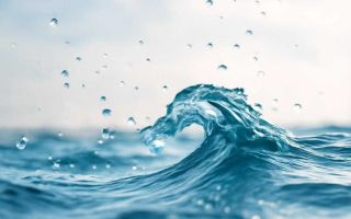 Как распознать воду в баке и убрать ее без лишнего ремонта