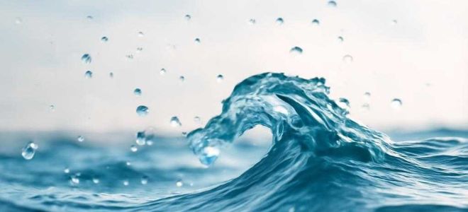 Как распознать воду в баке и убрать ее без лишнего ремонта