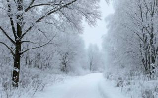 Подготовка автомобиля к зиме без лишних затрат и ошибок