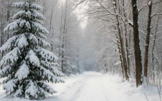 Подготовка машины к зиме без лишних затрат и случайных ошибок