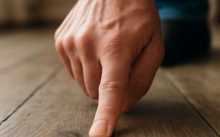 Почему скрипят тормоза и где искать причину