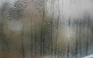 Почему запотевают стекла в машине и как убрать проблему без лишних затрат