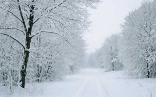 Зимний набор для спокойной дороги