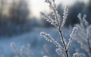 Как не сорвать машину в мороз и доехать без аварии