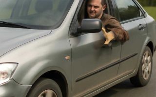 Почему автомобиль дергается при движении на постоянной скорости