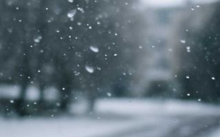 Как вести машину по снегу без лишних ошибок