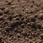 Вывоз и утилизация грунта с выдачей справки без сбоев по срокам