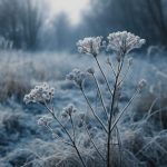 Как сохранить автомобиль в лютый мороз