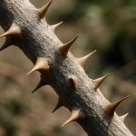 Как удержать шипы в зимней шине без лишнего износа