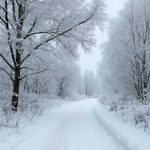 Подготовка автомобиля к зиме без лишних затрат и ошибок