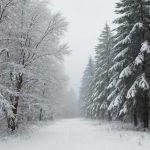 Подготовка машины к зиме без лишних затрат и опасных ошибок