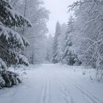 Зимний режим работы грузовика без лишнего риска